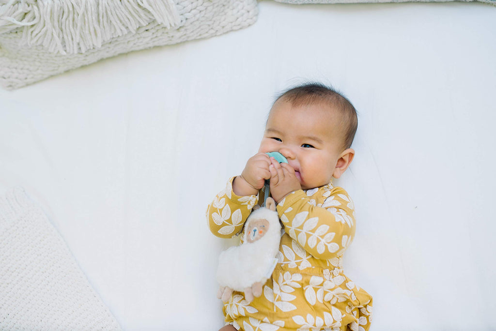 Itzy Ritzy Pacifier and Lovey Set; Detachable Plush Moon and Coordinating Toast Silicone Pacifier; Ideal for Ages 0 Months and Up, Moon