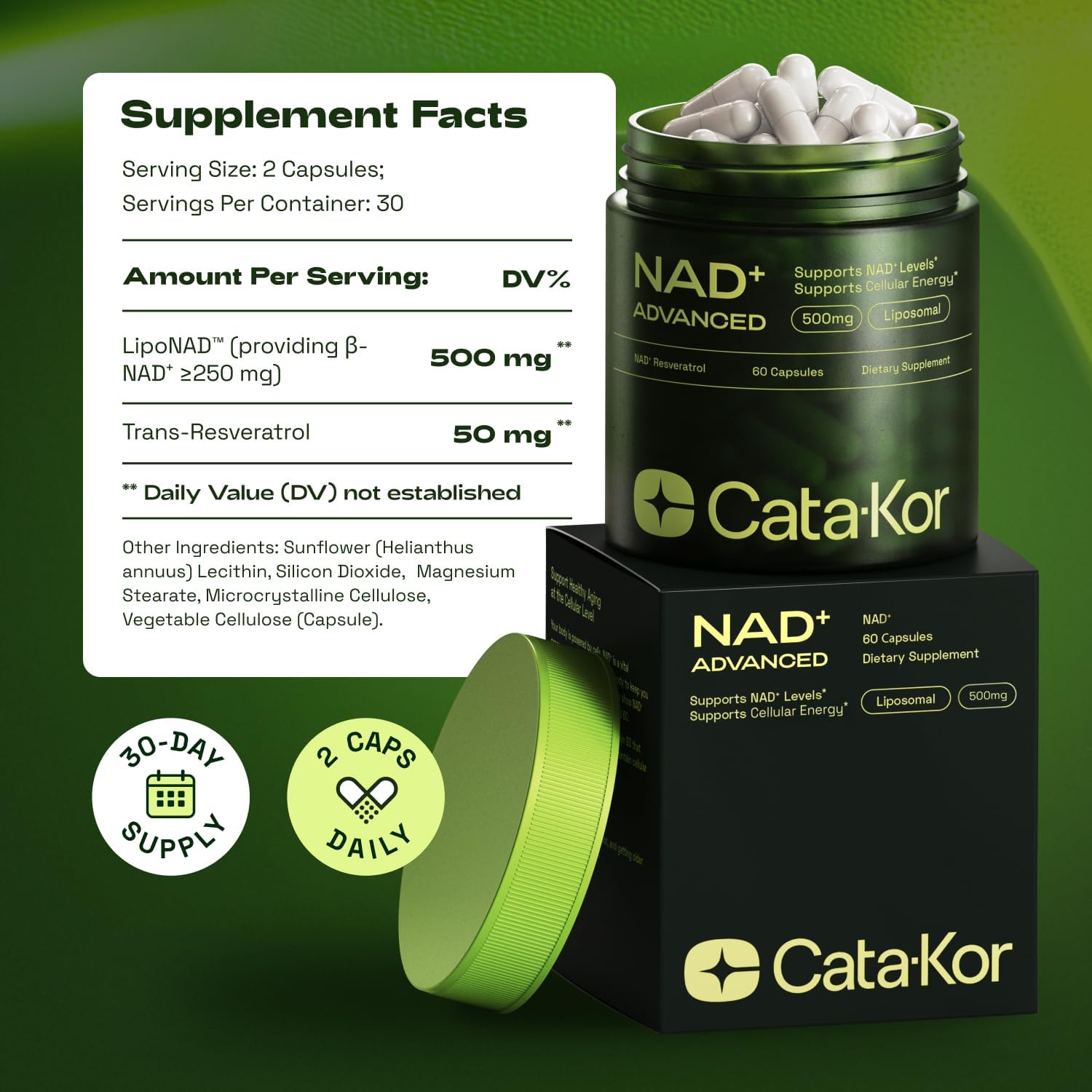 NMNH Supplement Alternative – Liposomal NAD + Resveratrol – 30-Day Supply – High Purity NAD Supplement for Energy & Healthy Aging – 60 Capsules