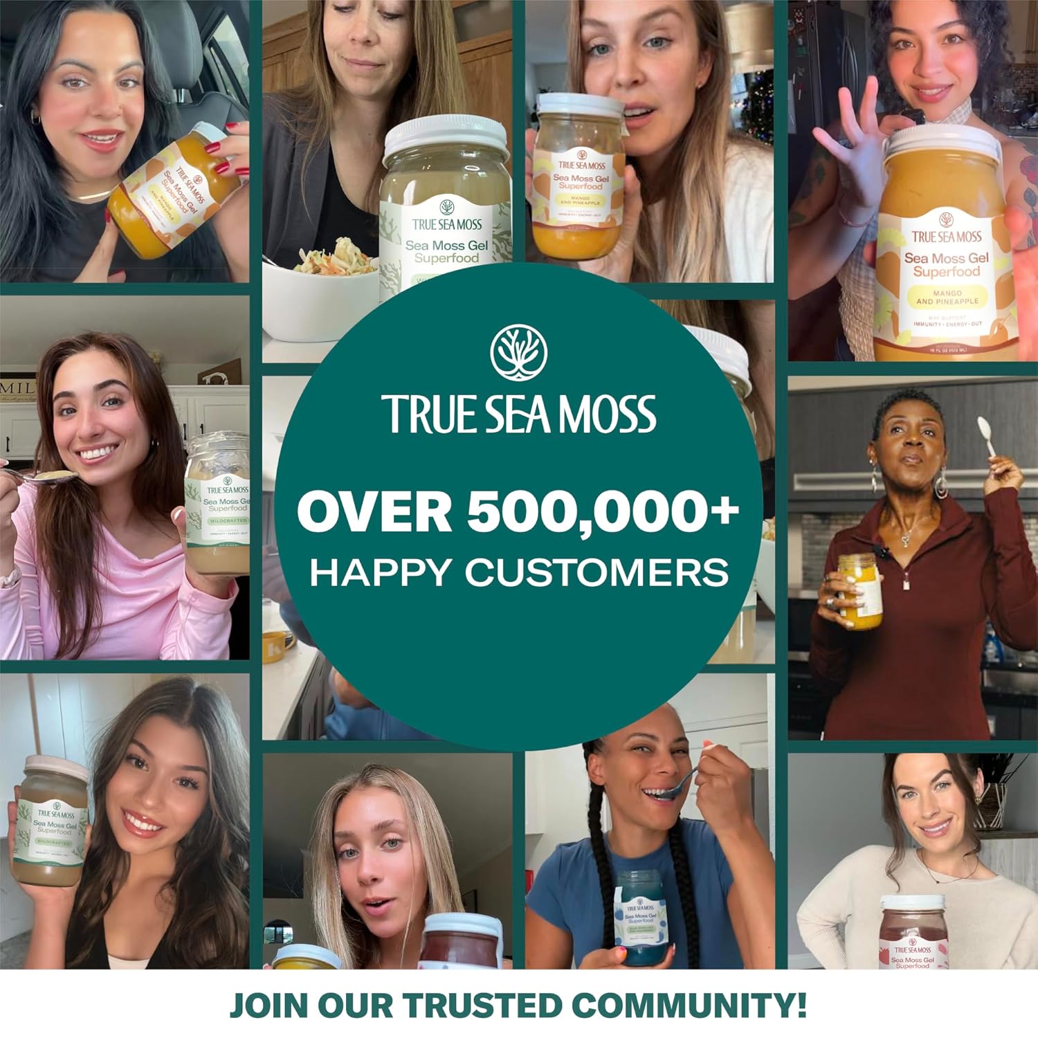 TrueSeaMoss Sea Moss Gel – Made in USA – Wildcrafted Seamoss, Fruits & Jarred Vegetables – Mango/Pineapple, Pack of 1 (Labels may Vary)