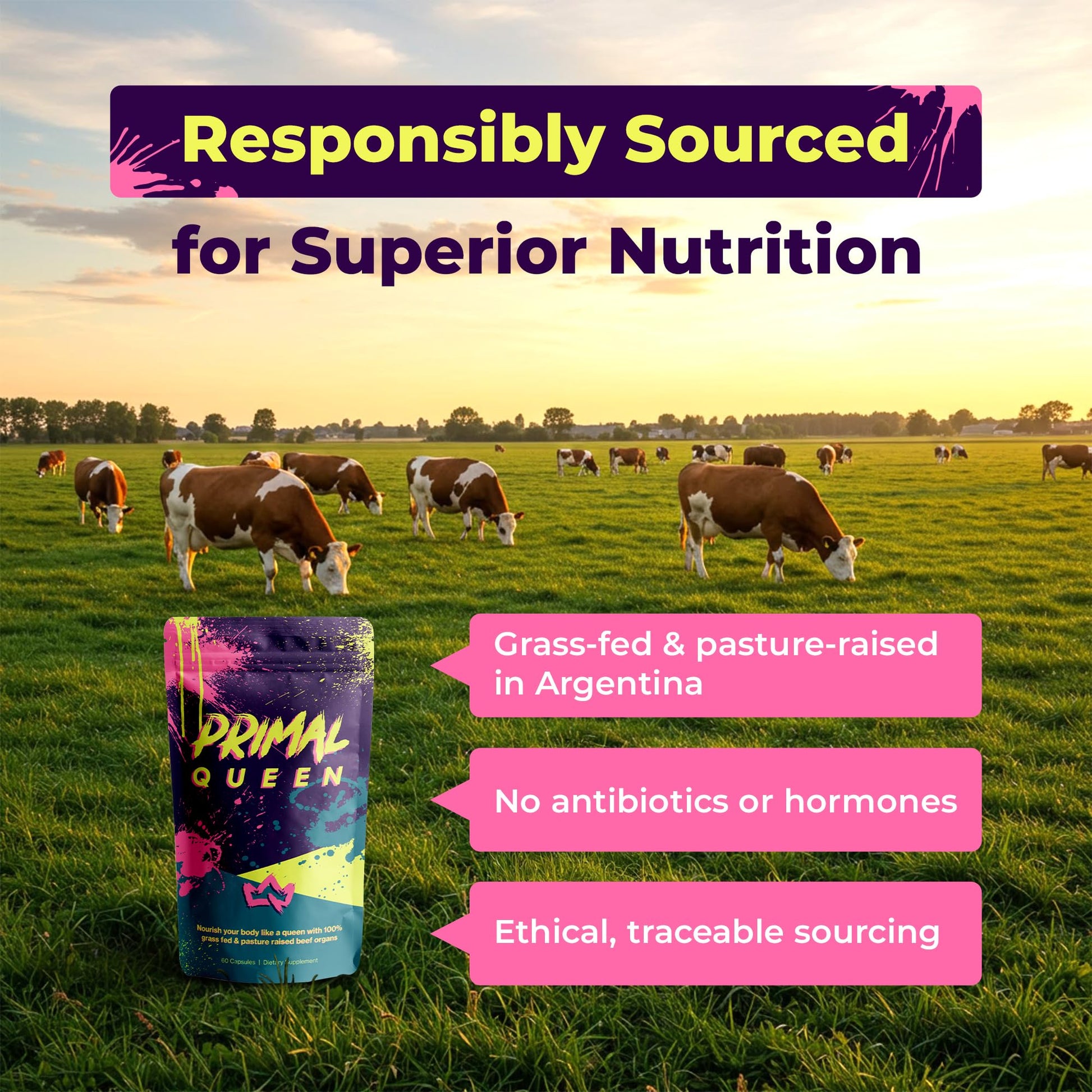 Female-Optimized Beef Organ Superfood Supplement (Beef Liver, Kidney, Heart, & 3 More) - 100% Grass Fed, Pasture Raised Cattle - Balance Hormones, Energy, & More for Women
