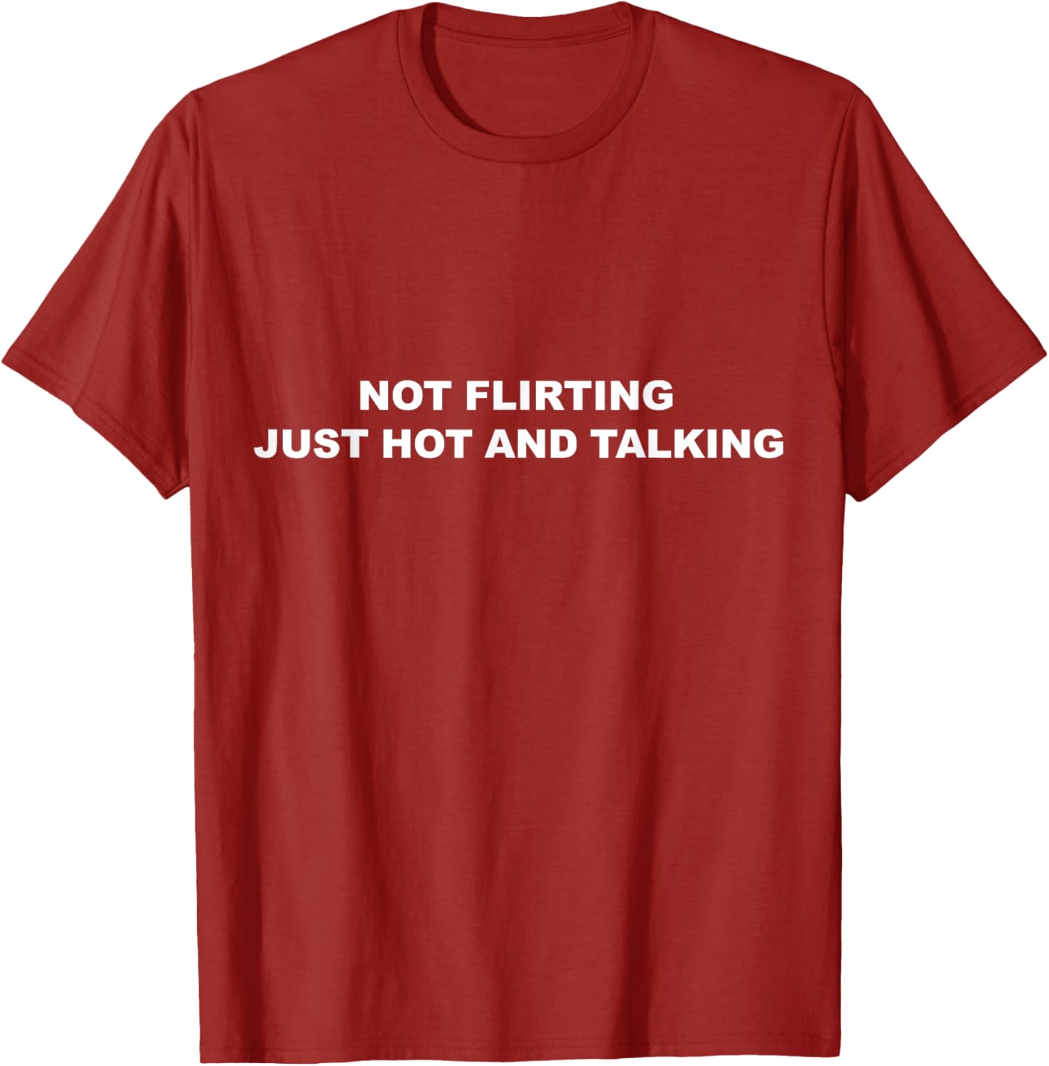 I'm Not Flirting Just Hot and Talking Funny Saying Women Men T-Shirt