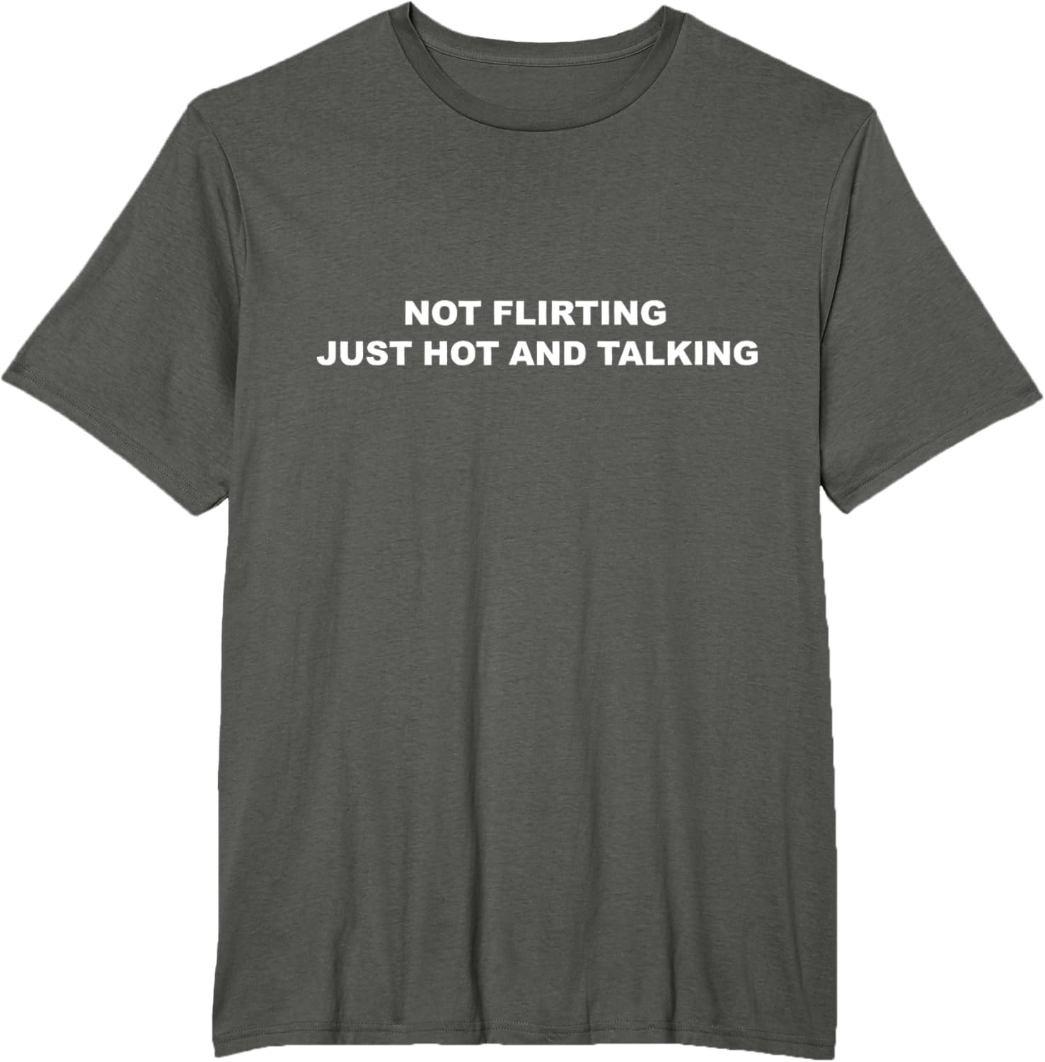 I'm Not Flirting Just Hot and Talking Funny Saying Women Men T-Shirt