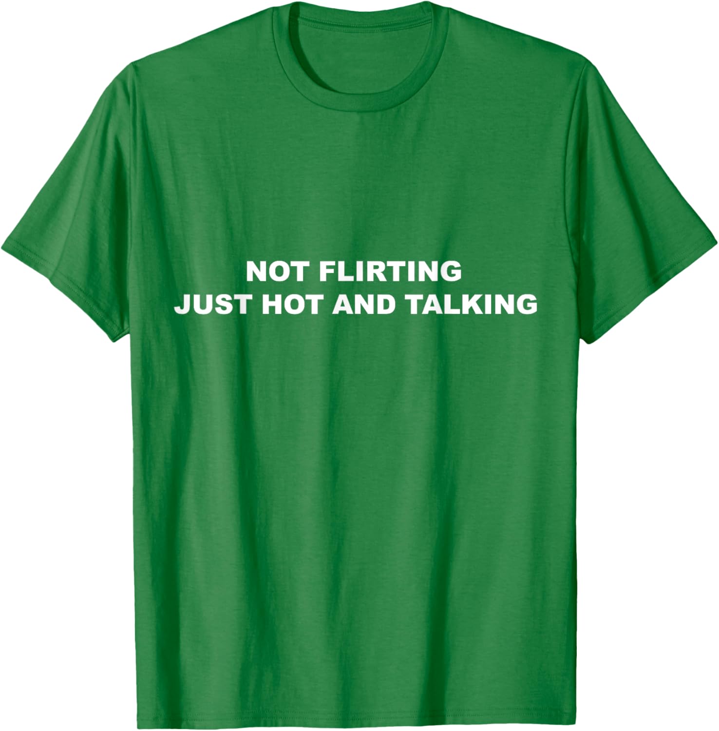 I'm Not Flirting Just Hot and Talking Funny Saying Women Men T-Shirt