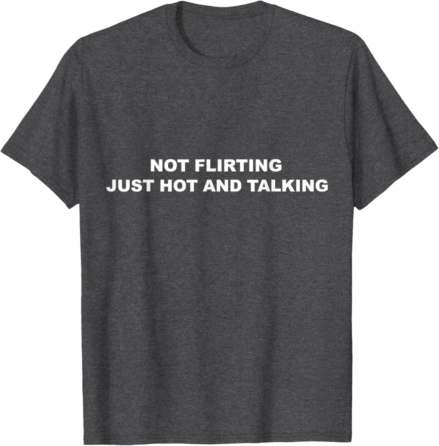 I'm Not Flirting Just Hot and Talking Funny Saying Women Men T-Shirt