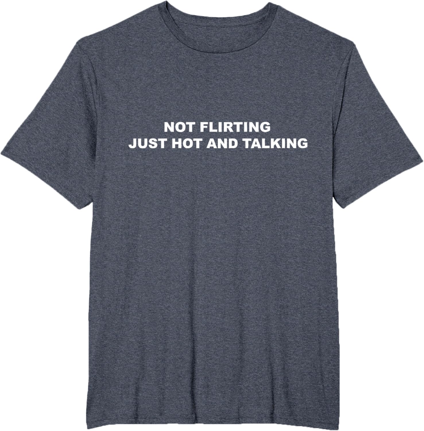 I'm Not Flirting Just Hot and Talking Funny Saying Women Men T-Shirt